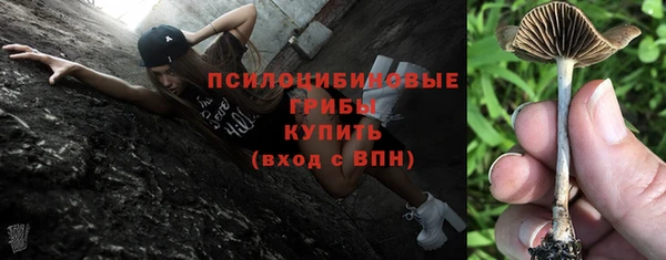 PSILOCYBIN Бородино