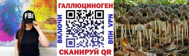 Галлюциногенные грибы Psilocybine cubensis  магазин продажи   Очёр 